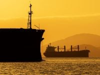 Safra paulista de trigo deve superar expectativas em 50 mil toneladas