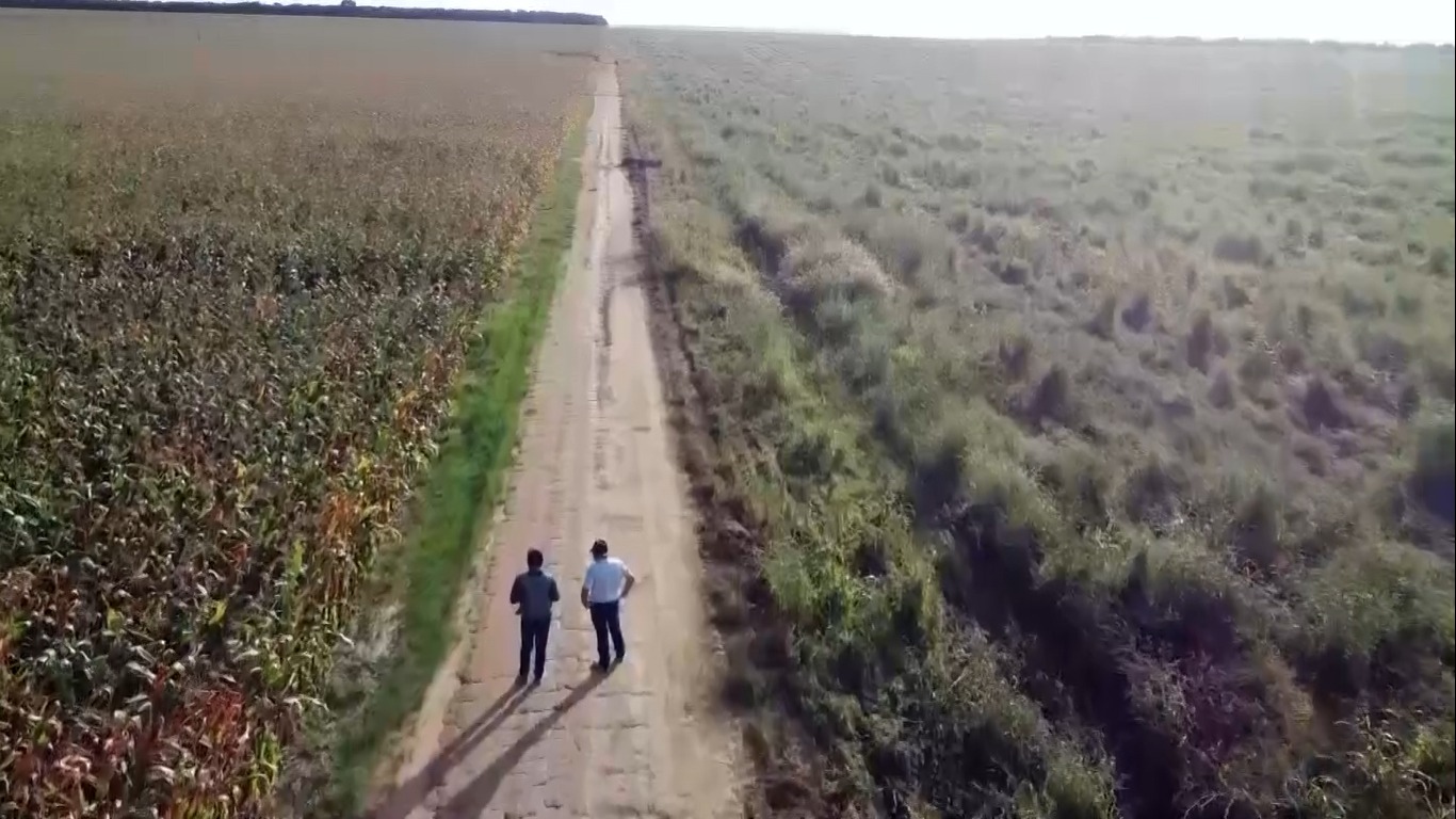 Foto: Pedro Silvestre | Canal Rural Mato Grosso