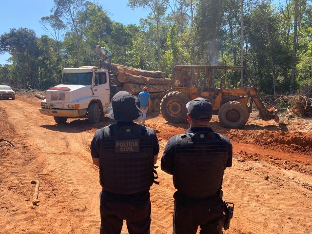 Operação Ronuro desmatamento ilegal Policia Civil de Mato Grosso