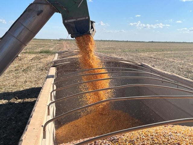 Colheita de milho em Mato Grosso