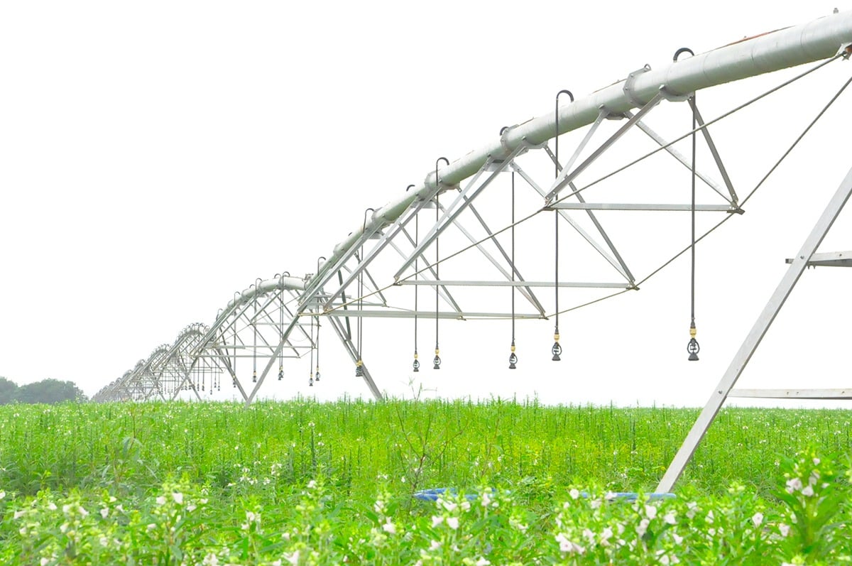 Cerrado lidera irrigação no Brasil e movimenta mercado potencial de R$ 14,4 bilhões