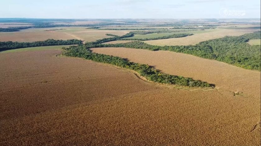 Agropecuária, indígenas, terras, arrendamento, georreferenciamento, invasão, fazendeiro, terras, projeto