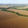 Agropecuária, indígenas, terras, arrendamento, georreferenciamento, invasão, fazendeiro, terras, projeto