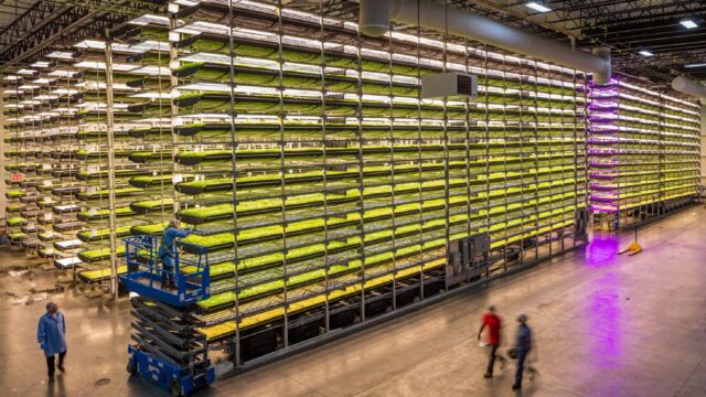 Embrapa aposta em fazendas verticais que podem beneficiar produção de alimentos Embrapa aposta em fazendas verticais que podem beneficiar produção de alimentos