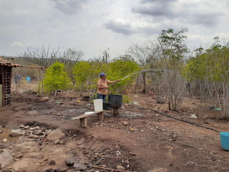 Agricultor José Laércio rega árvores com mangueira
