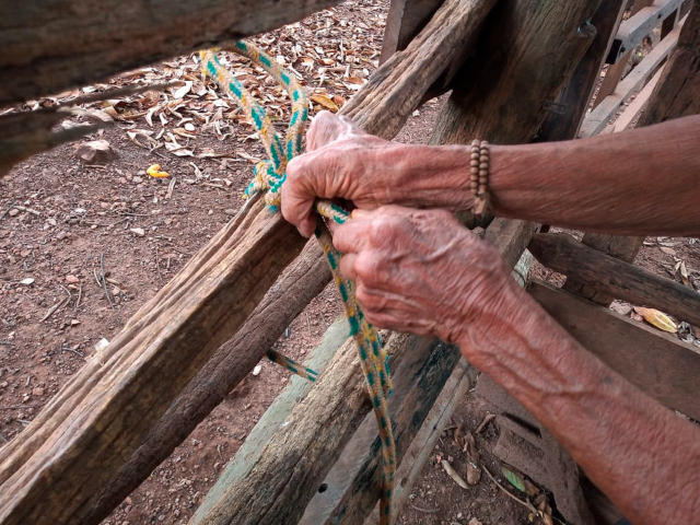 agricultores assentados, anália silva