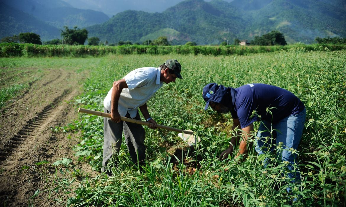 A força da Agricultura familiar no desenvolvimento do país