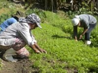 agro nas eleições 2022 - ocupações - agricultores - tomaz silva - agência brasil