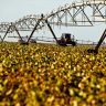 ranking das 100 cidades mais ricas do agro no Brasil em 2022, Economist, agronegócio