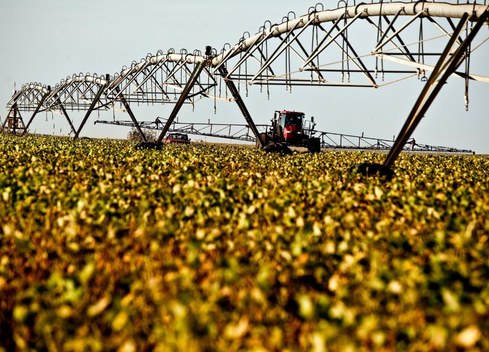 ranking das 100 cidades mais ricas do agronegócio no Brasil em 2022, Economist, agronegócio