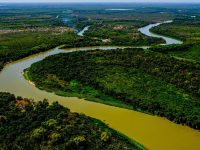 agronegócio, Pantanal, projeto