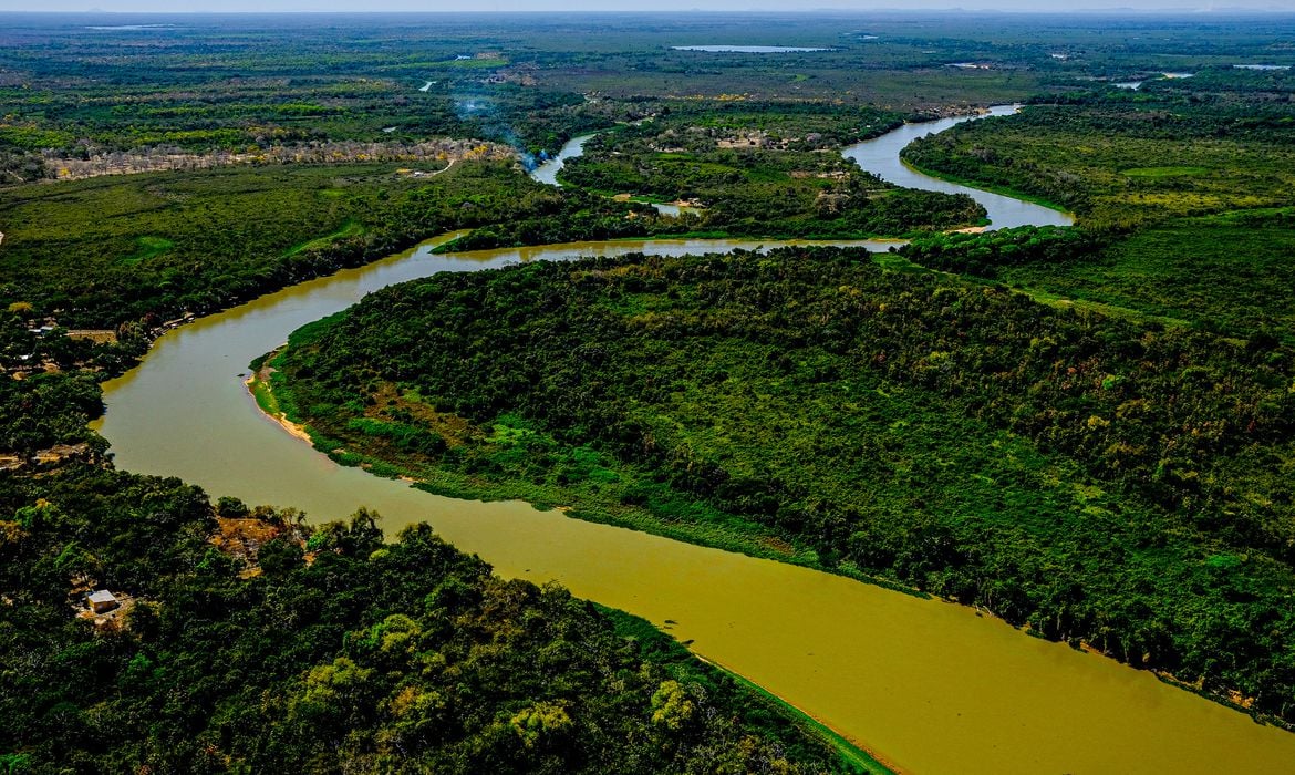 agronegócio, Pantanal, projeto
