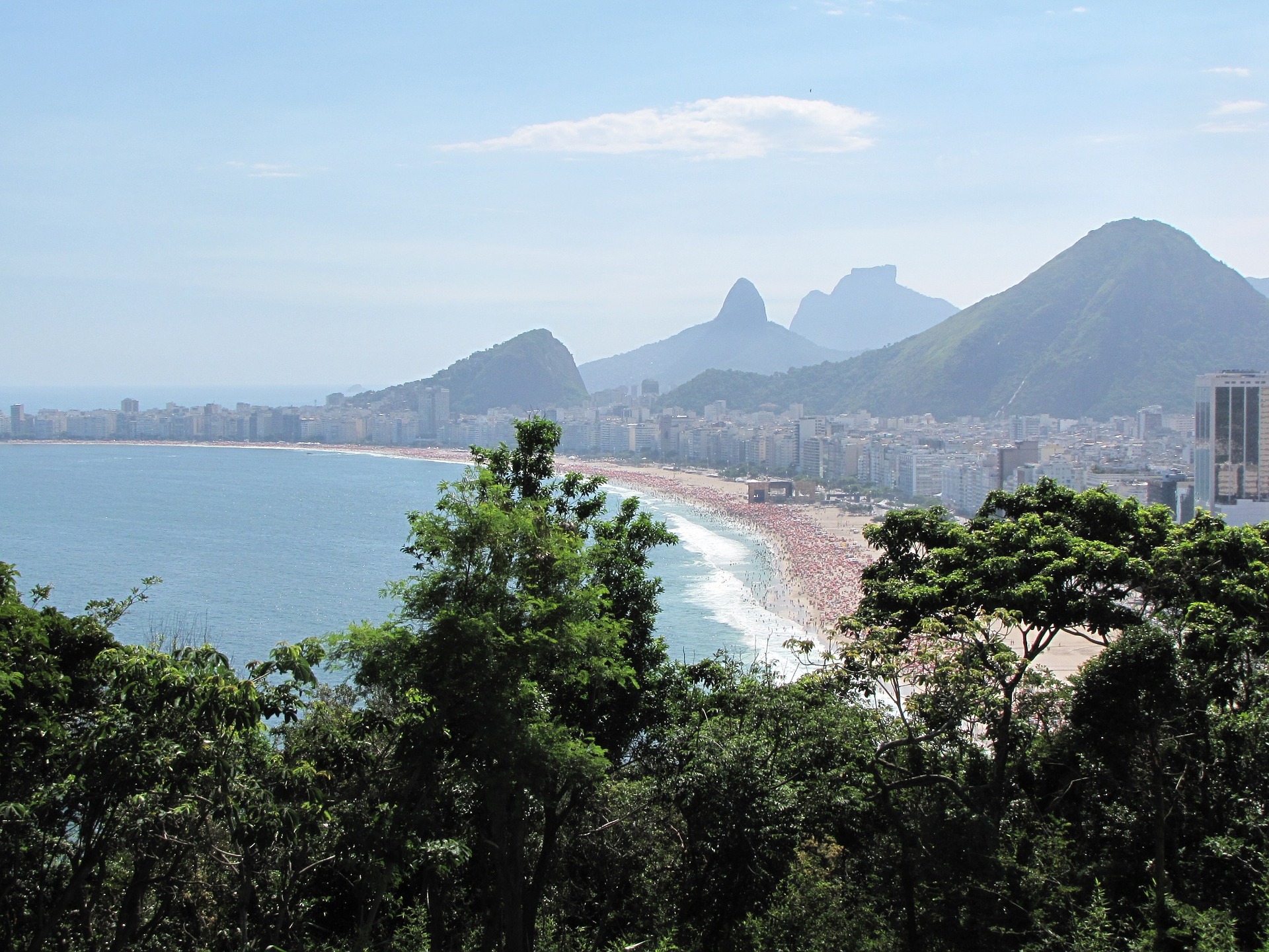 Mata Atlântica Rio de Janeiro