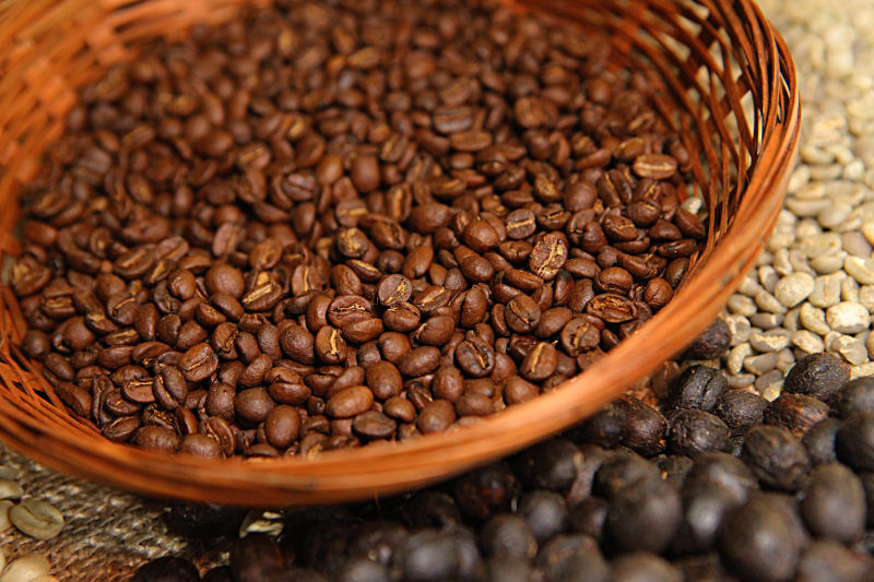 Setor cafeeiro pode ser forçado a redirecionar produção, diz Cepea