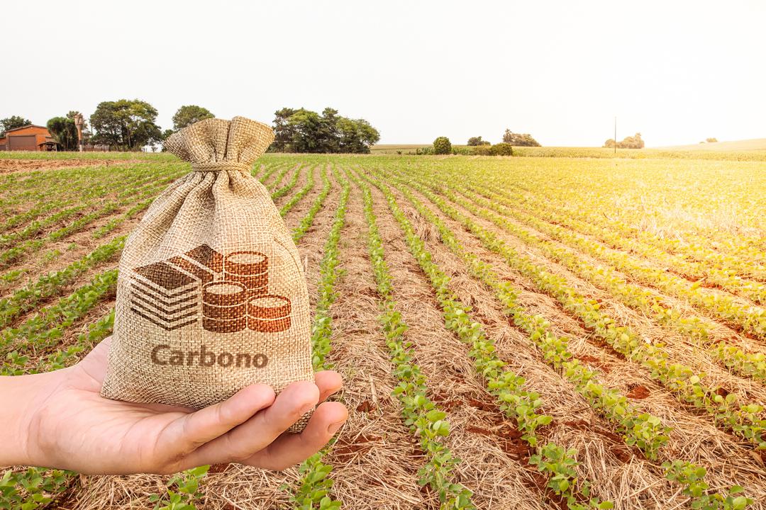 Governo quer regulamentar mercado de carbono até fim de 2026