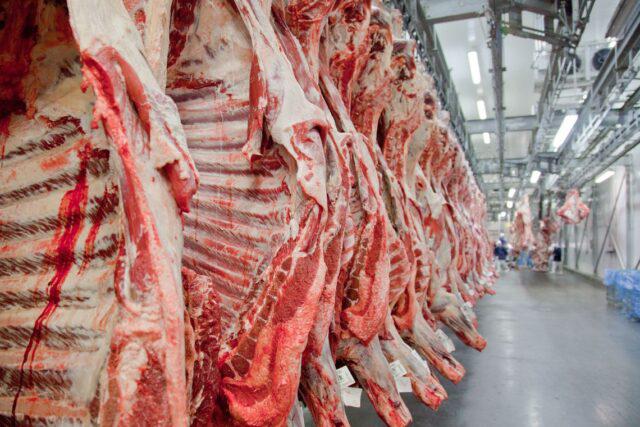 china-embargo-brasil, carne bovina