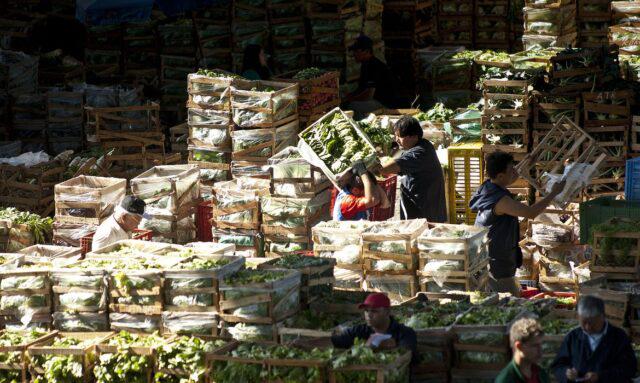 Trabalhadores da Companhia de Entrepostos e Armazéns Gerais de São Paulo (CEAGESP), uma das principais empresas estatais brasileiras de abastecimento