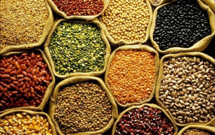 Safra de grãos cresce 16,3%, aponta IBGE