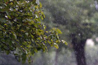 chuva
