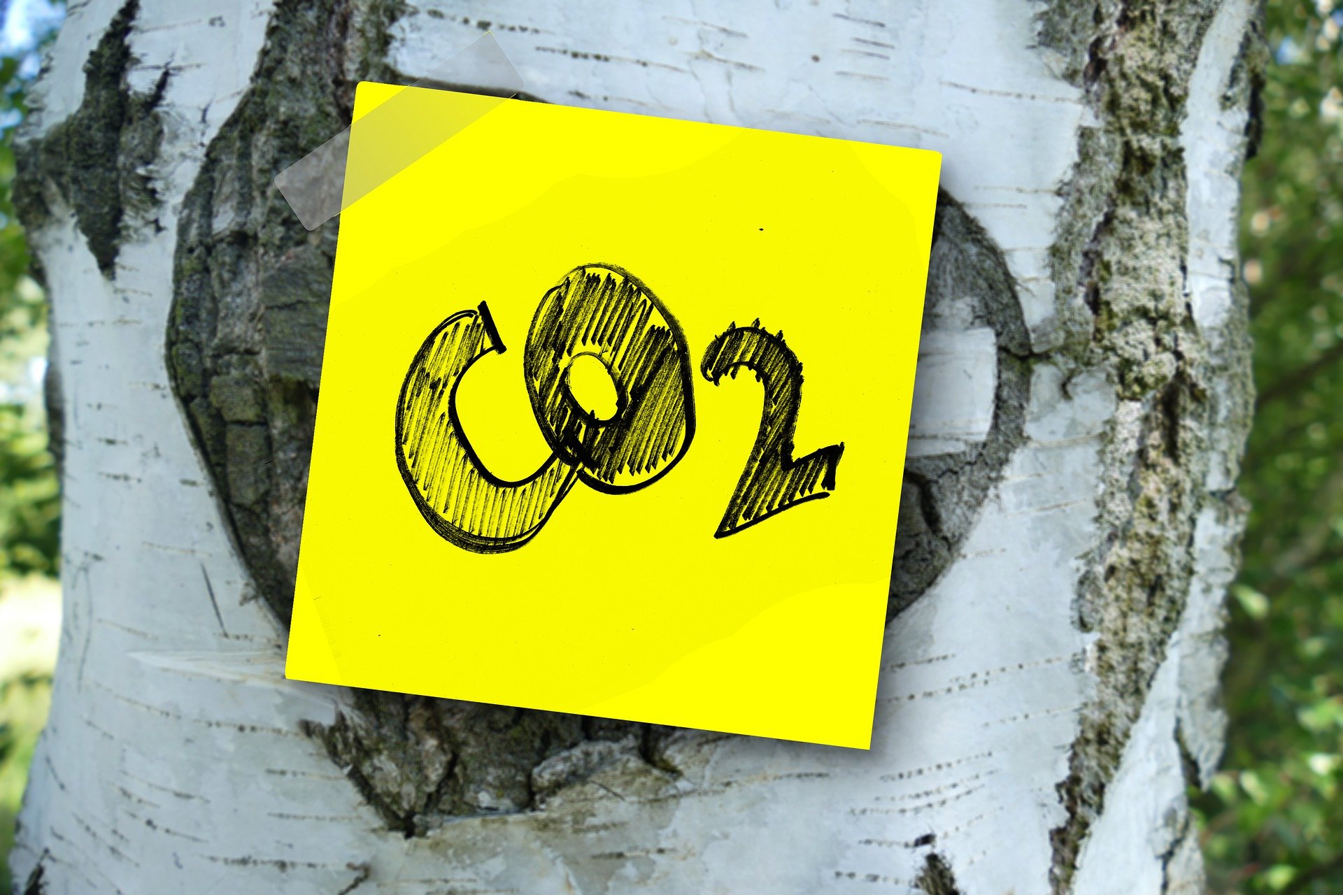 Carbono CO2