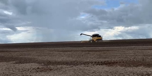 Colheita de soja na Fazenda Itamarati Norte da Amaggi em Campo Novo do Parecis