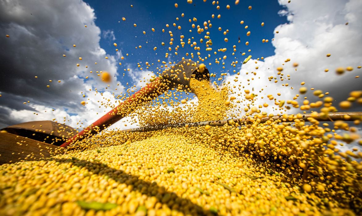 Maior do que o esperado! USDA e Conab confirmam ampla oferta mundial de soja na safra 25/26