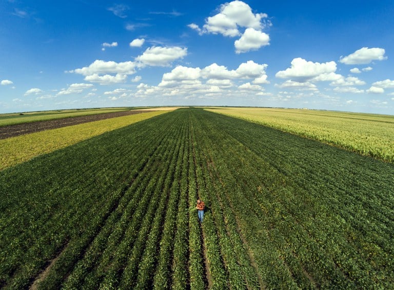 Banco do Brasil announces a R$260 billion harvest plan for 2024/2025