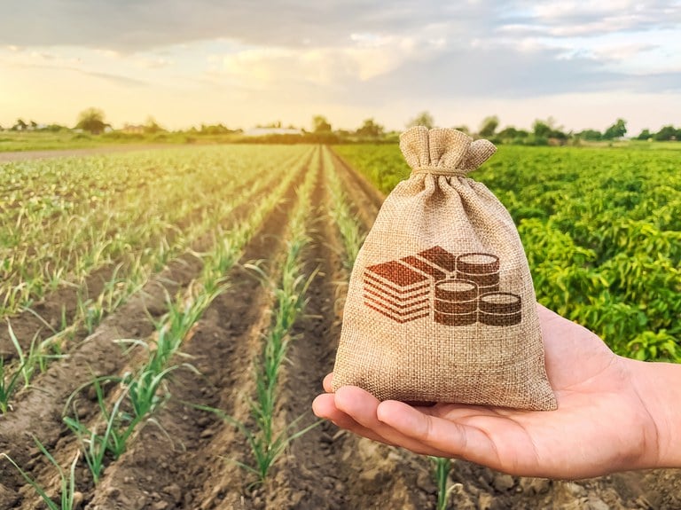 crédito rural, dinheiro, títulos verdes, agricultura sustentável