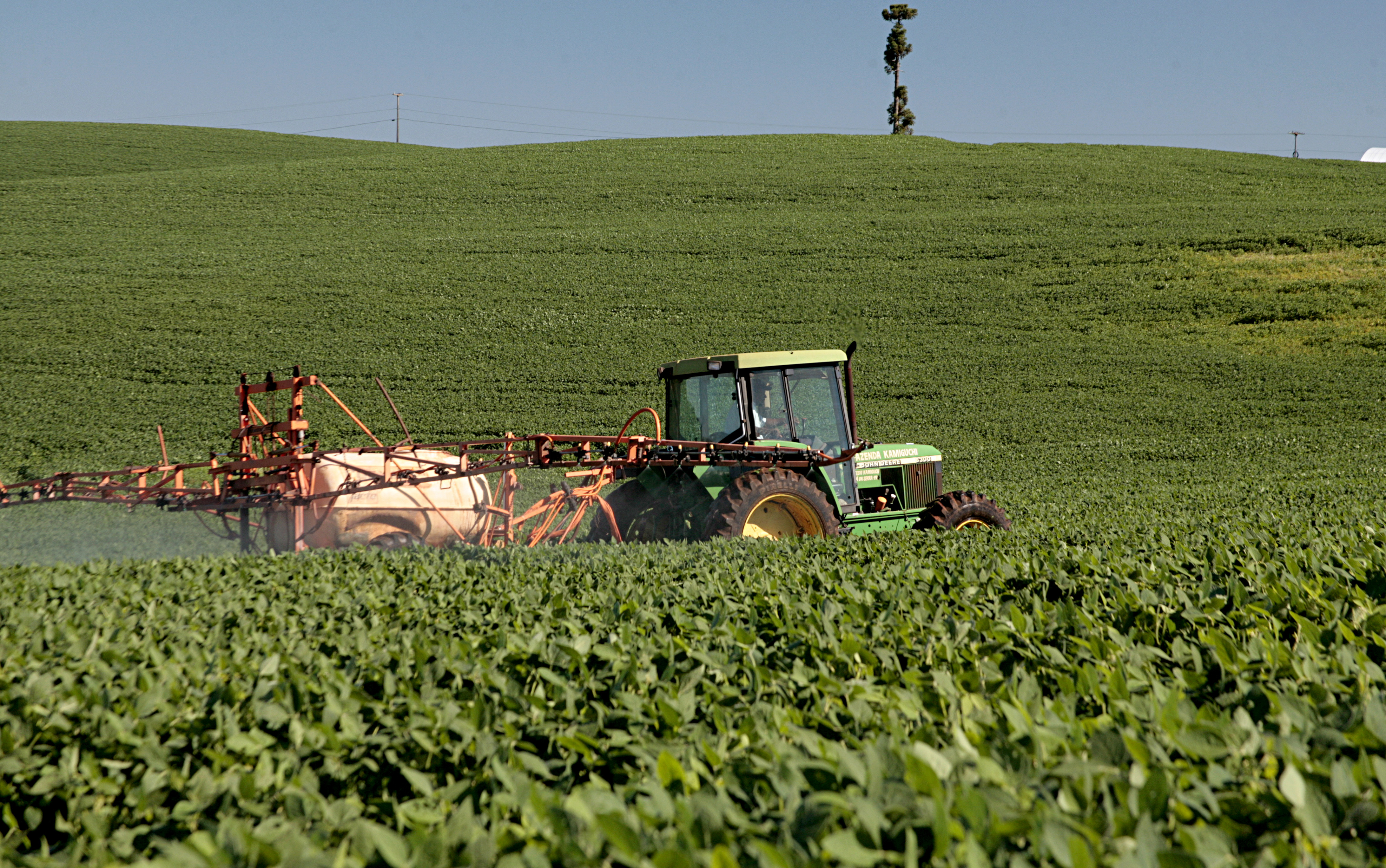 Aplicação de defensivo em soja