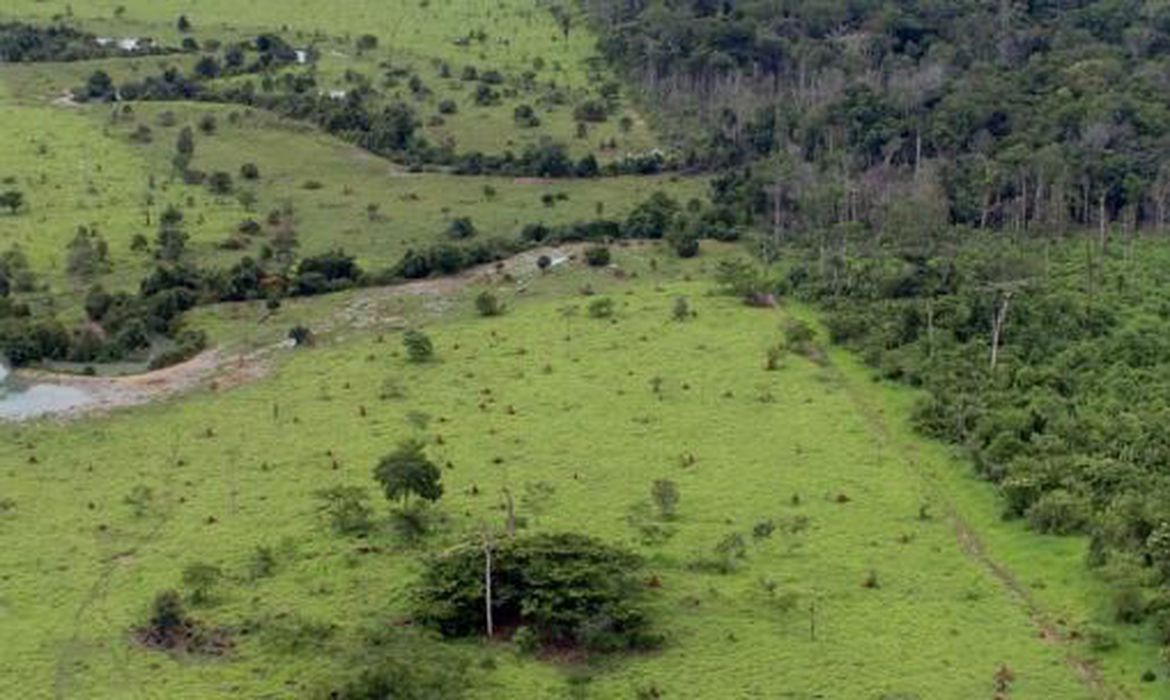 Agro é capaz de atender às metas de redução de emissão, diz secretário do Meio Ambiente