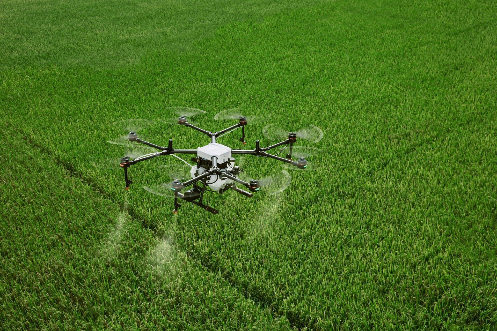 drone campo