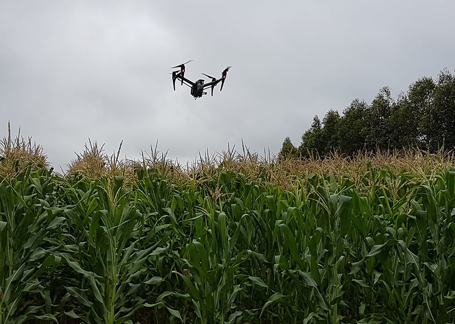 drone linha de plantio tecnologia