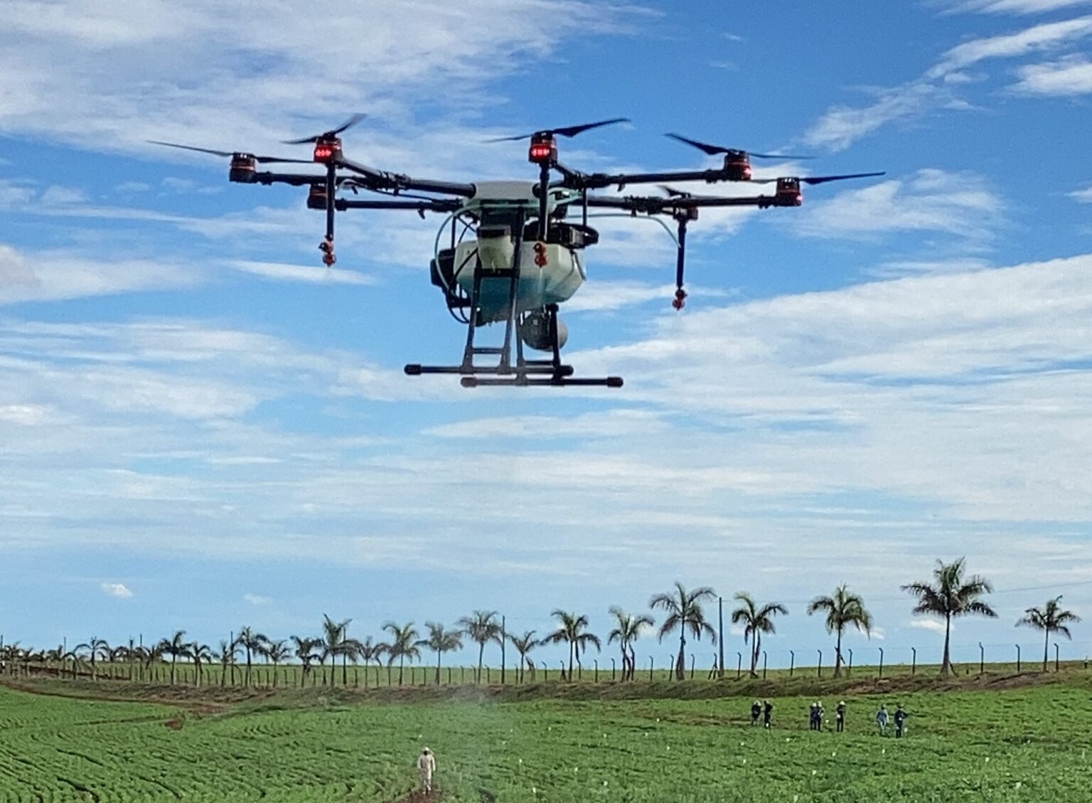 drone embrapa