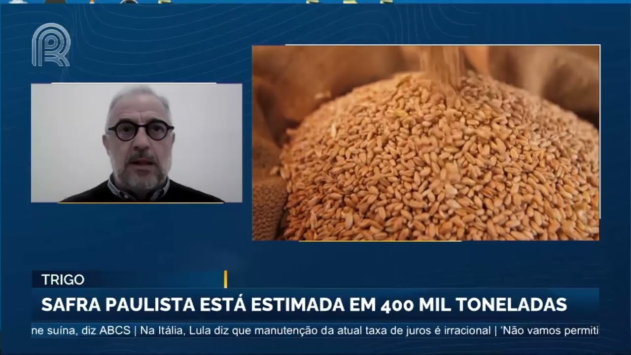 Safra de trigo em São Paulo registra redução de 20% em relação ao ano anterior
