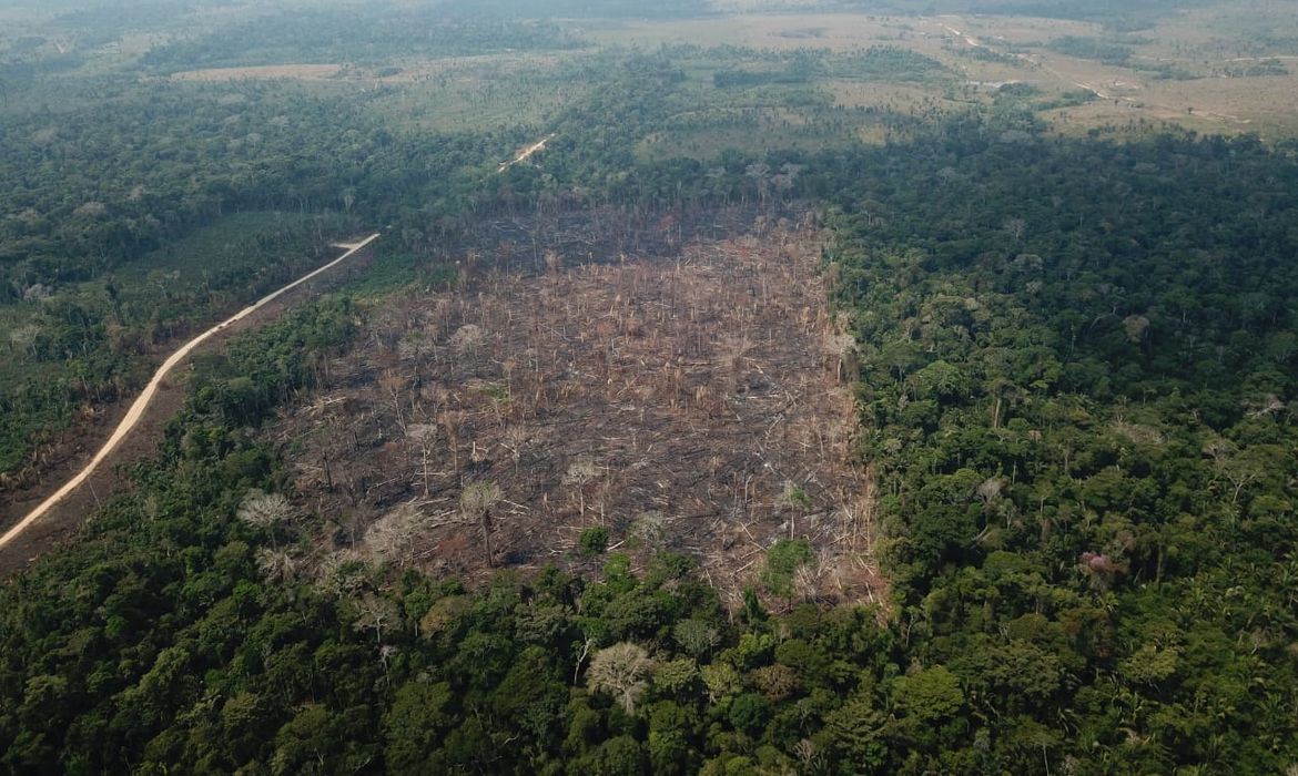 desmatamento na Amazâonia