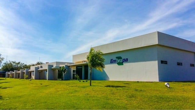 Congresso derruba veto e libera isenção de taxas para pesquisas da Embrapa
