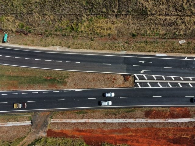 Brasil registra pela primeira vez picão-preto resistente ao glifosato