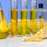 etanol de milho, biocombustível, biocombustíveis