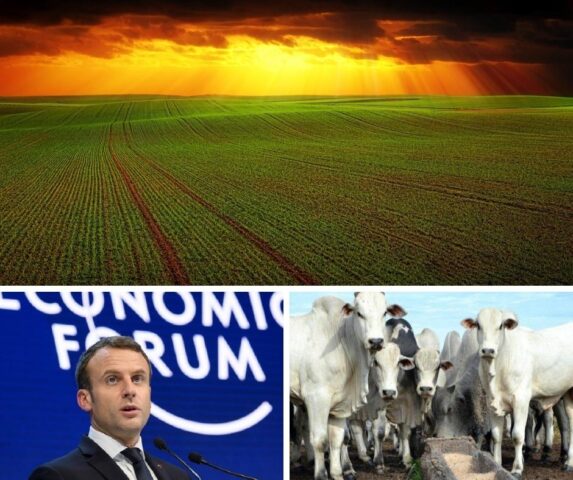 Confira o que foi destaque no Rural Notícias nesta semana