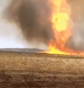 Produtor vê 1.500 hectares de sua fazenda serem dizimados por incêndio em MT