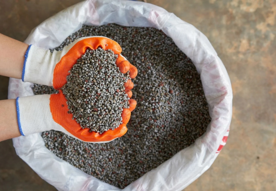 Fertilizantes: o futuro do alimento depende da riqueza que há sob os nossos pés