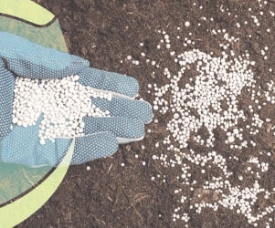 China ultrapassa Rússia e assume liderança no fornecimento de fertilizantes ao Brasil