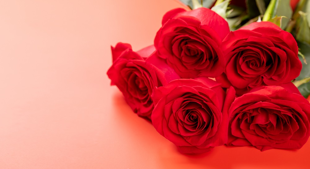 buquê de rosas: setor de flores animado com Dia dos Namorados