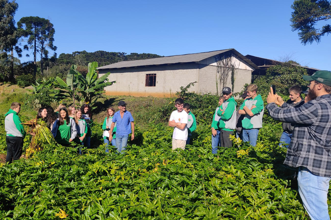 Cultivo de frutas e hortaliças, atrai público jovem no Paraná