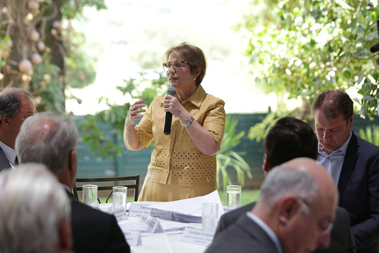 Ministra Tereza Cristina faz balanço de 2019 para Frente Parlamentar da Agropecuária - Guilherme Martimon/Mapa