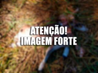 Você viu? Quadrilha que roubou 100 cabeças de gado é presa no Tocantins