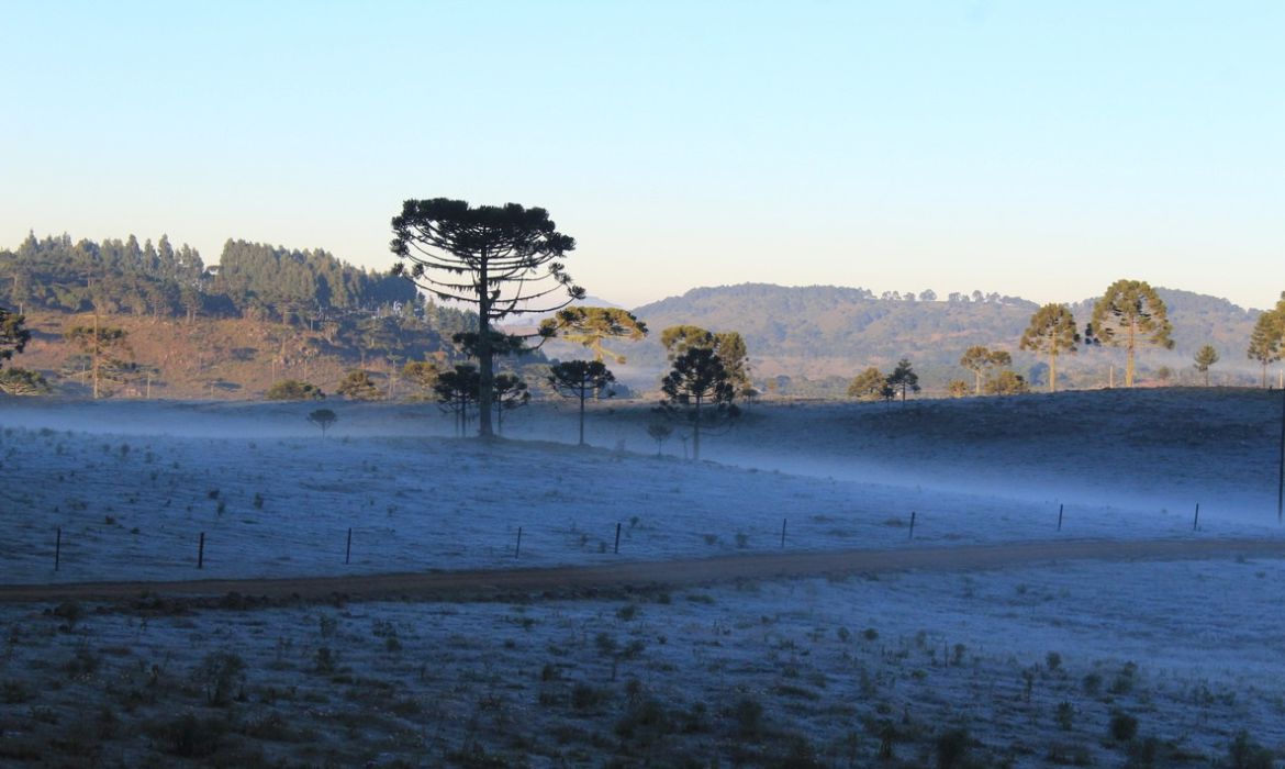 Frio ganha força e pode ocorrer geada em algumas regiões