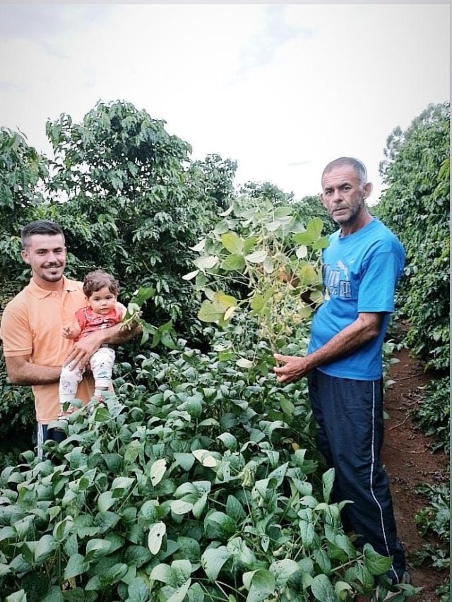 produtor de café e soja em sistema consorciado