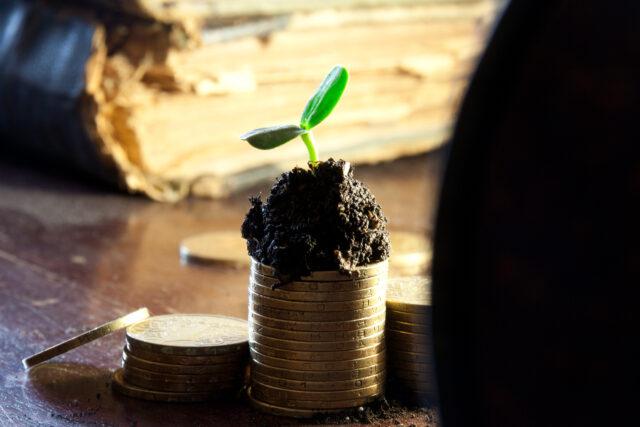 Golden coins in soil with young plant. Money growth concept.