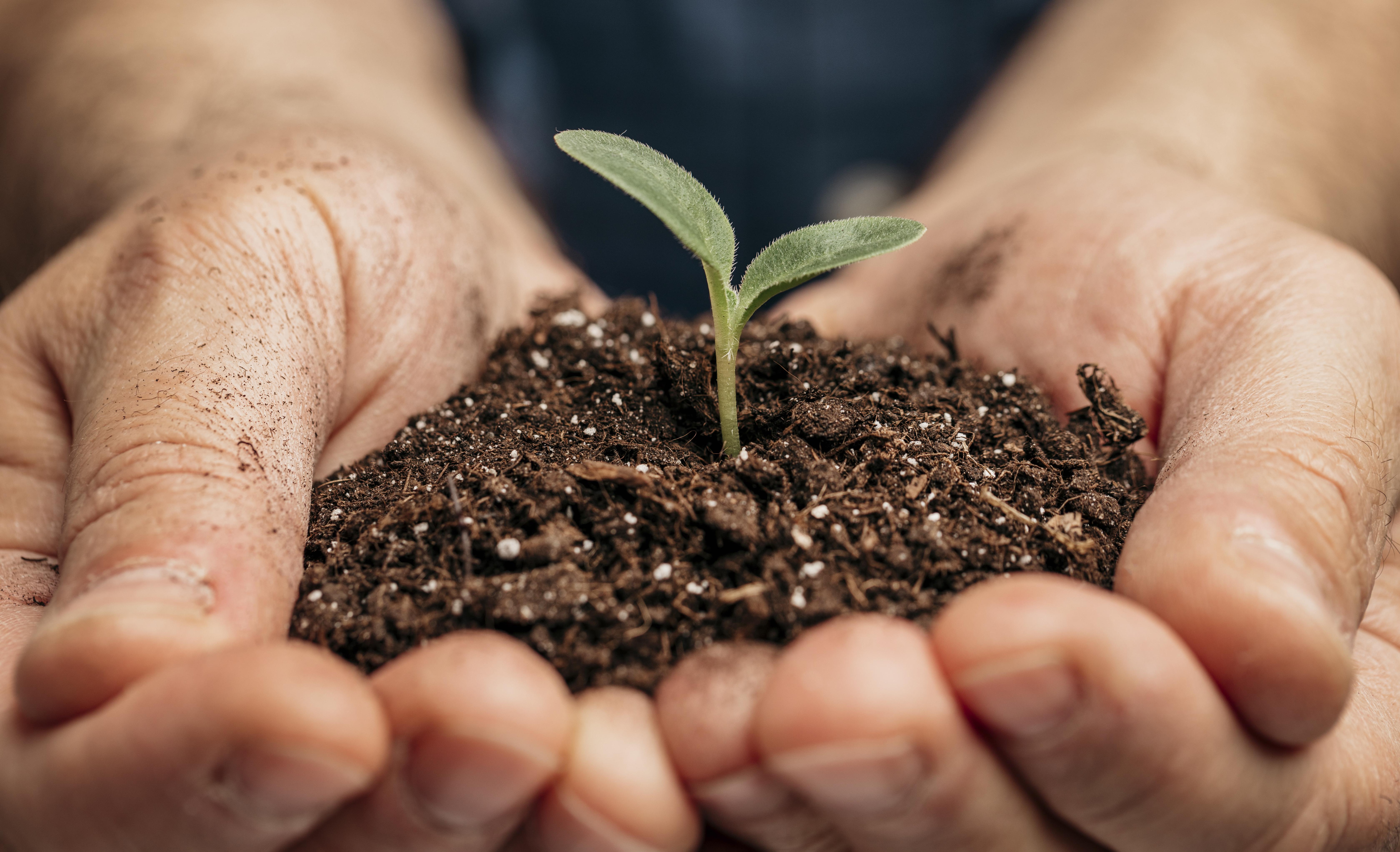 Brasil e Reino Unido firmam memorando sustentável com acordo voltado a fertilizantes
